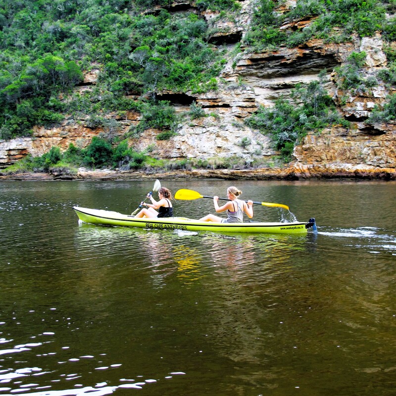Paddle Plett (2012)